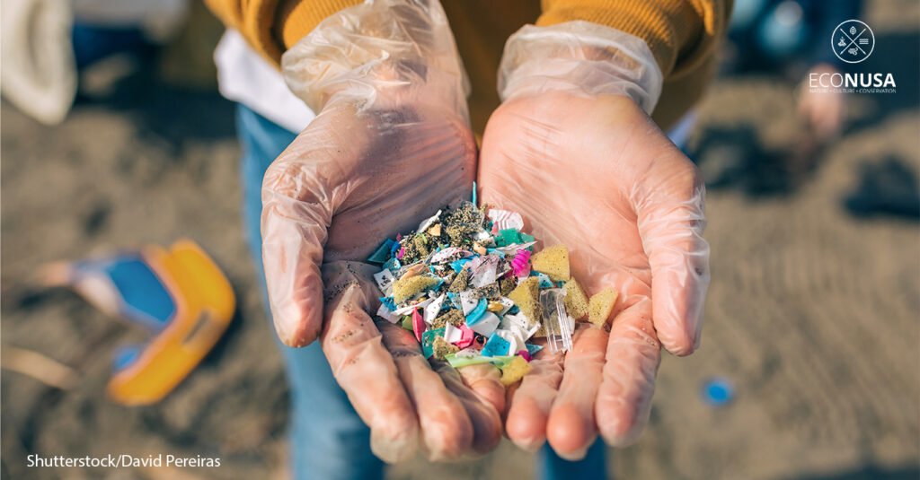 MIKROPLASTIK : Bahaya yang Sering Kita Abaikan !